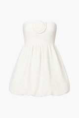 Stassie Rosette Applique Mini Dress